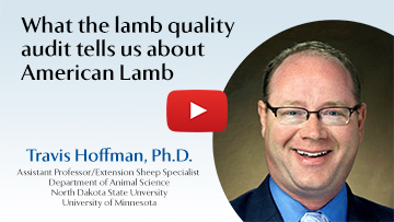 What the lamb quality audit tells us about American lamb