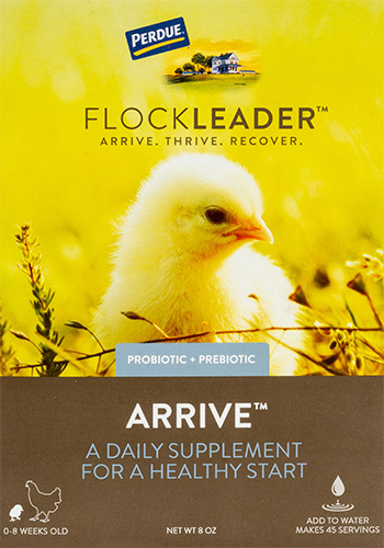 FlockLeader™ ARRIVE: Chick supplement from Purdue®