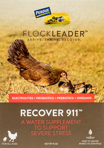 FlockLeader™ RECOVER 911: Poultry supplement from Purdue®