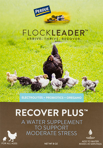 FlockLeader™ RECOVER PLUS: Poultry supplement from Purdue®