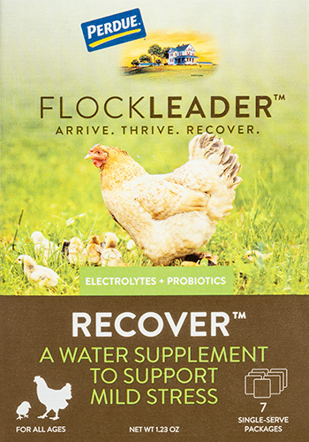 FlockLeader™ RECOVER: Poultry supplement from Purdue®