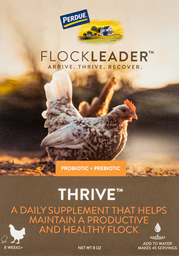 FlockLeader™ THRIVE: Poultry supplement from Purdue®