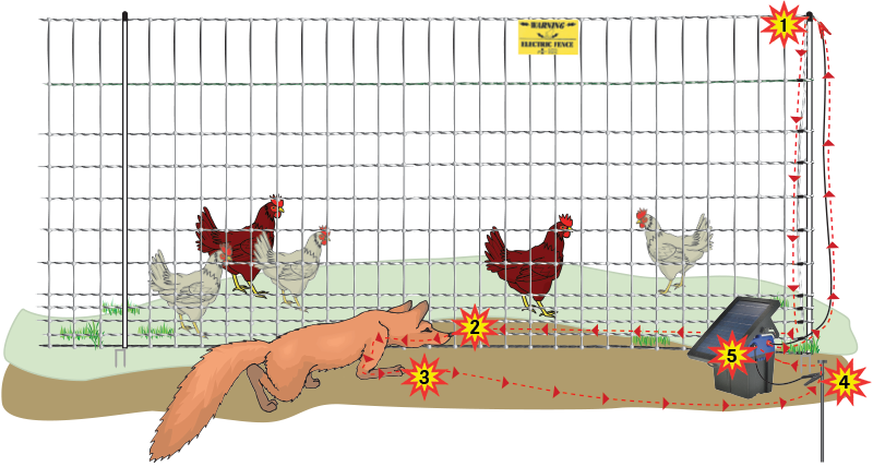 How Electric PoultryNet Works