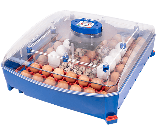 Maxi incubator large egg quadrants for 12 large eggs