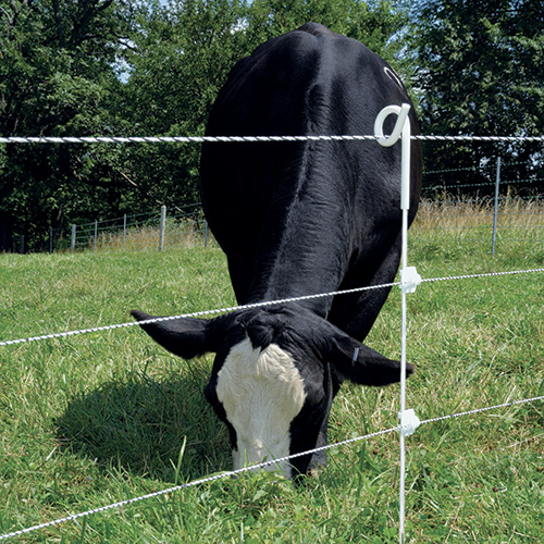 pet friendly electric fence