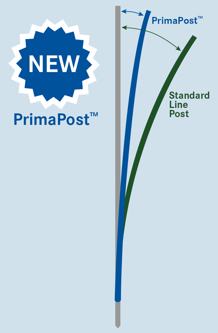 PrimaPosts™ diagram