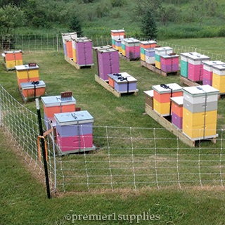 Electric Fence for Beehive Protection