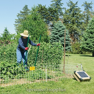 Fencing for Garden and Wildlife