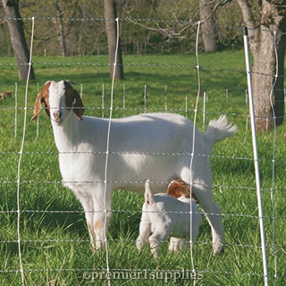 Electric Fence for Goats