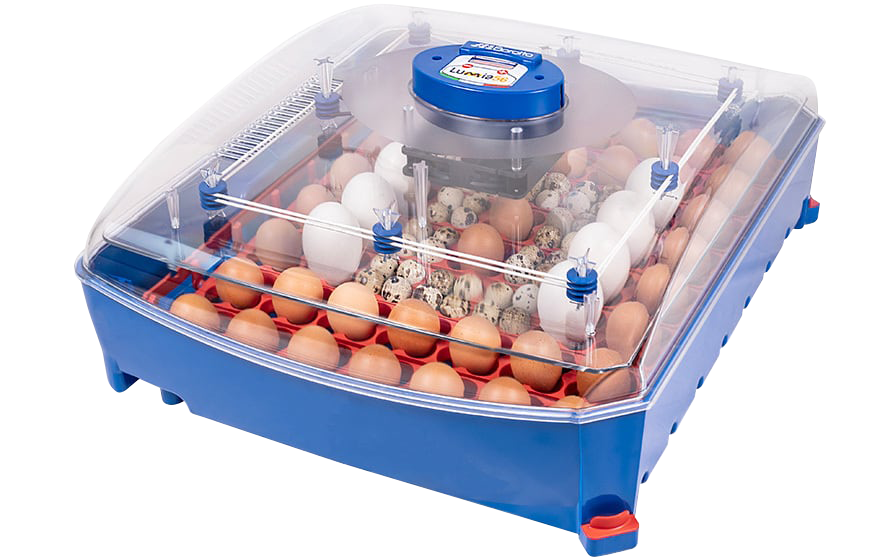 Borotto® Lumia 56 Egg Incubator