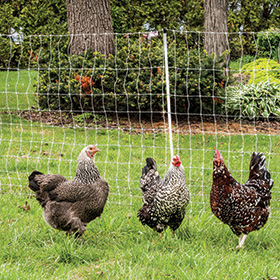 PoultryNet® Electric Fence