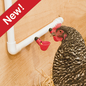 Poultry Drinking Cups