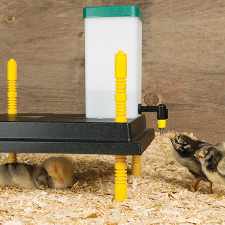 Heating Plates for Chick Brooders - Premier1Supplies