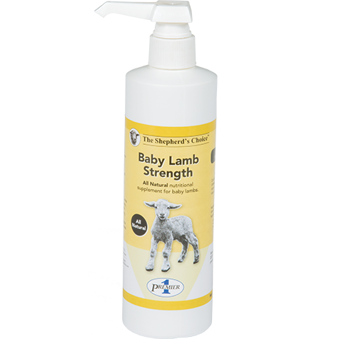 Baby Lamb Strength Oral