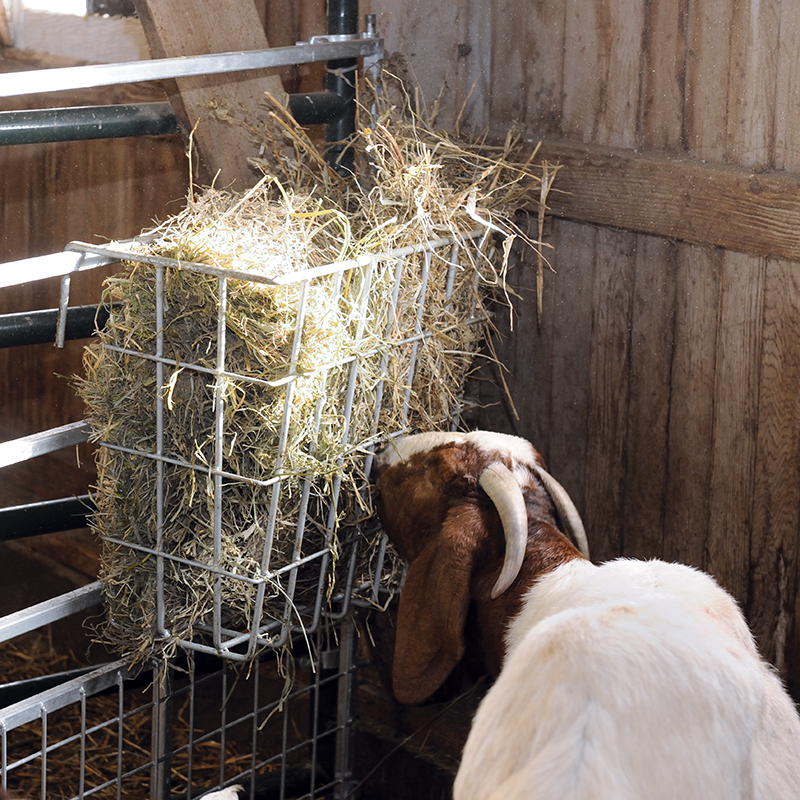 X-Tuff Single Sided Hay Feeder