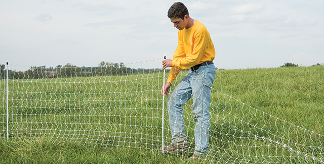 Portable electric fences