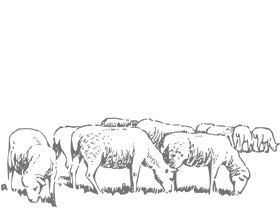 What is rotational grazing?