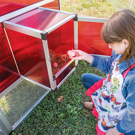 Coop Supplies Egg Collecting Apron-Backyard Barnyard