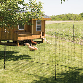 NoShock™ Hen Pen