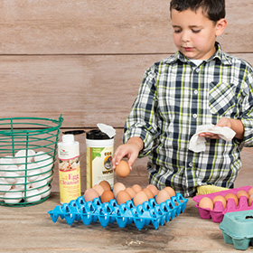 Egg Handling Trays