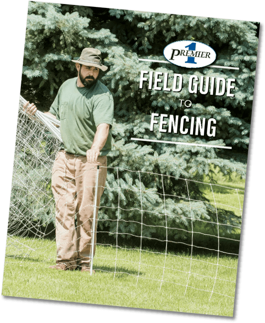 Field Guide to Fencing