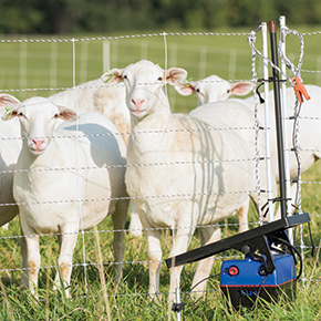 All-in-one Solar Energizers for Electric Fence
