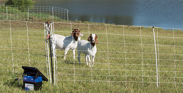 Electric Fence Energizers—The Basics