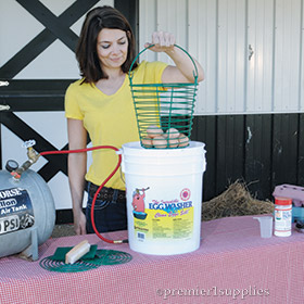 Egg Cleaning Kit