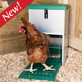 Feed-O-Matic Poultry Feeder