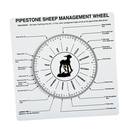 Sheep Management Wheel