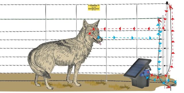 Pos/Neg electric fence diagram