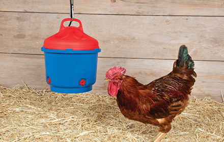 Improved! Heated Poultry Waterer