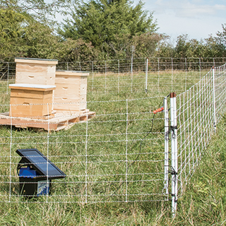 Electric Fence for Beehive Protection