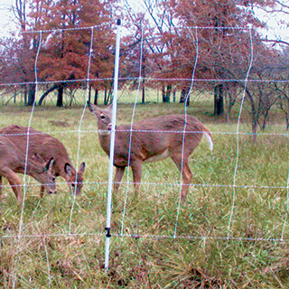 Fencing for Garden and Wildlife