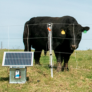 Electric Fence for Cattle