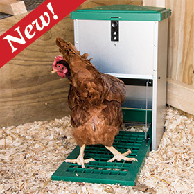 Feed-O-Matic Poultry Feeder