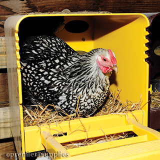 ChickBox Nesting Box