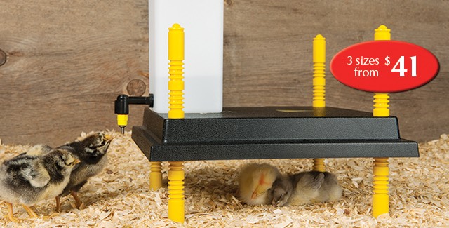 Heating Plates for Chick Brooders - Premier1Supplies