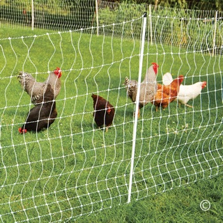 PoultryNet® Electric Fence