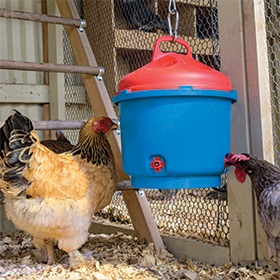 Heated Poultry Waterer