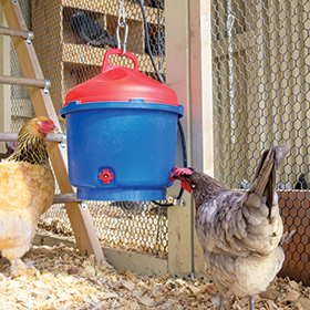 Heated Poultry Waterer