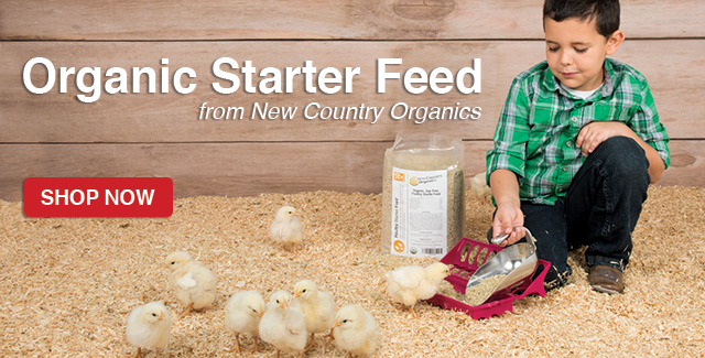 Organic Starter Feed for Poultry