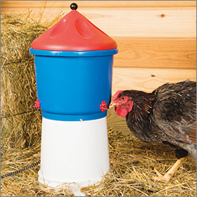 Heated Poultry Waterer