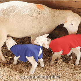 Newborn Lamb & Kid Covers 