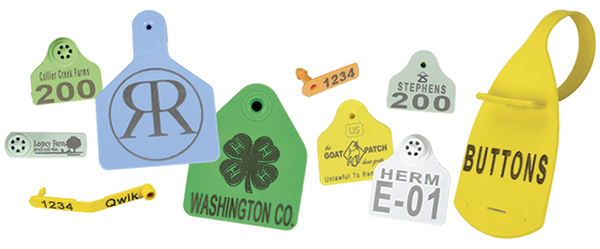 Custom Ear Tag Printing examples