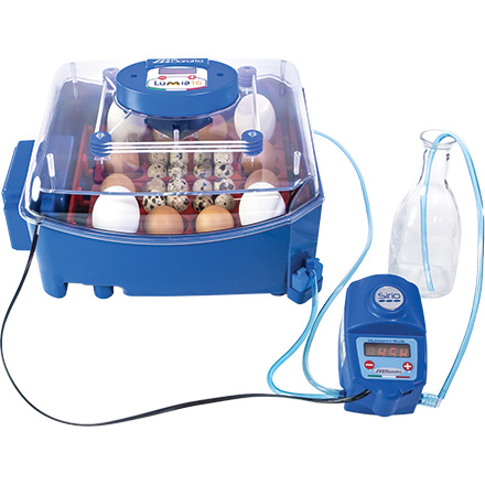 Borotto poultry egg incubators