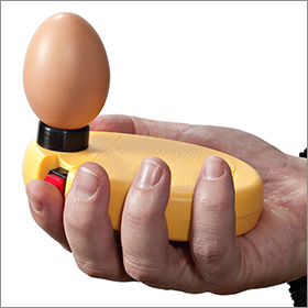 Egg Candler