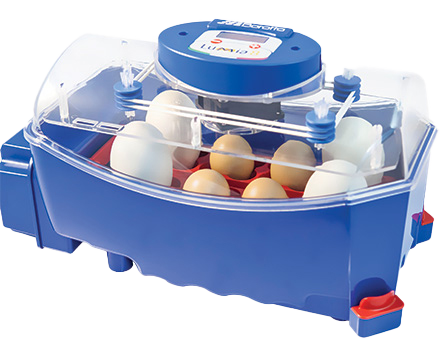 Borotto® Lumia 8 Poultry Egg Incubator