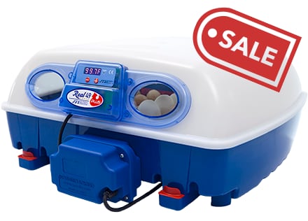 Borotto® Real 49 Plus Egg Incubator