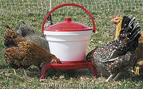 QuickClean Waterer